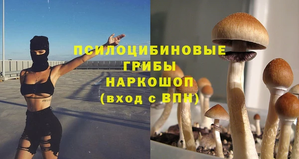 прущие грибы Зерноград